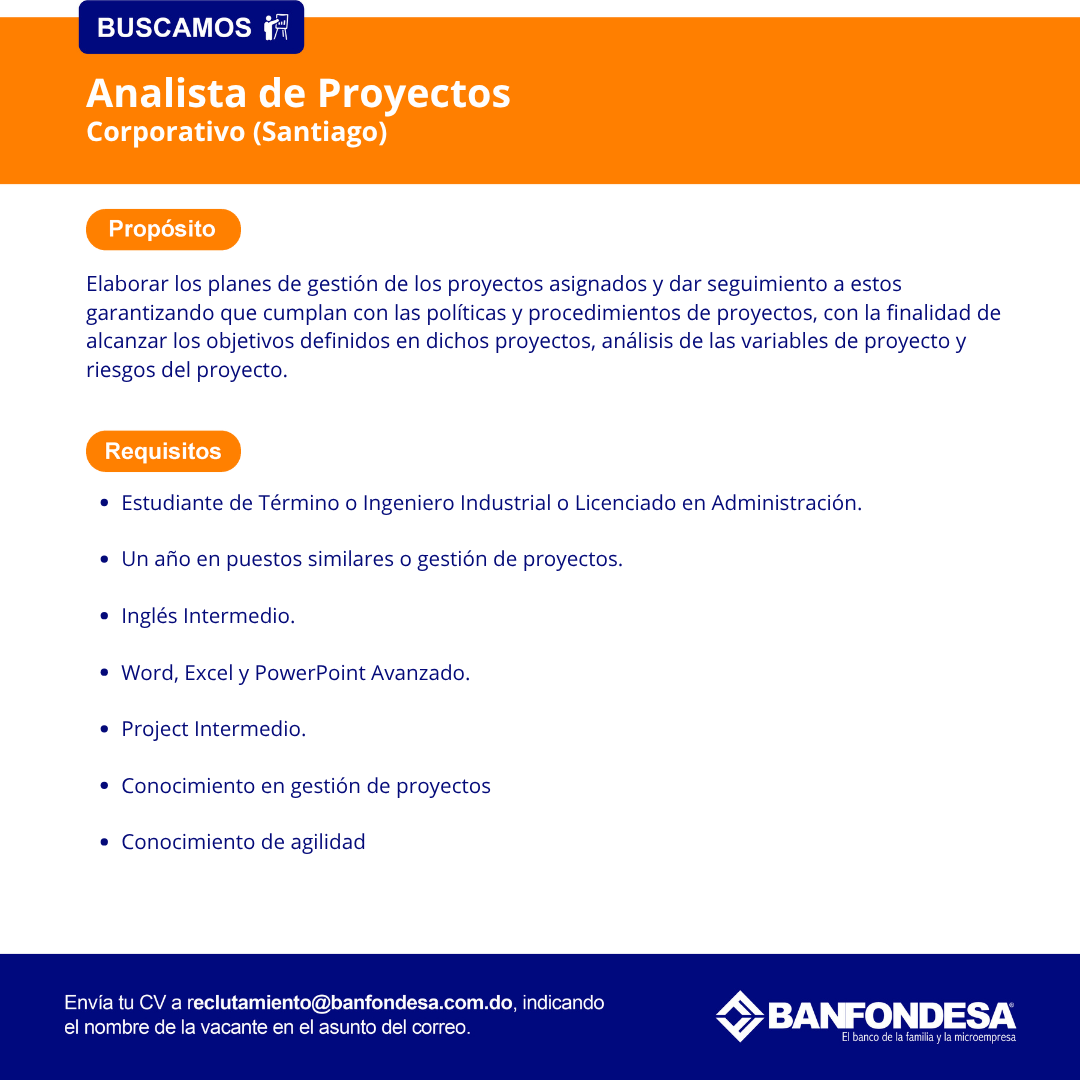 Analista de Proyectos