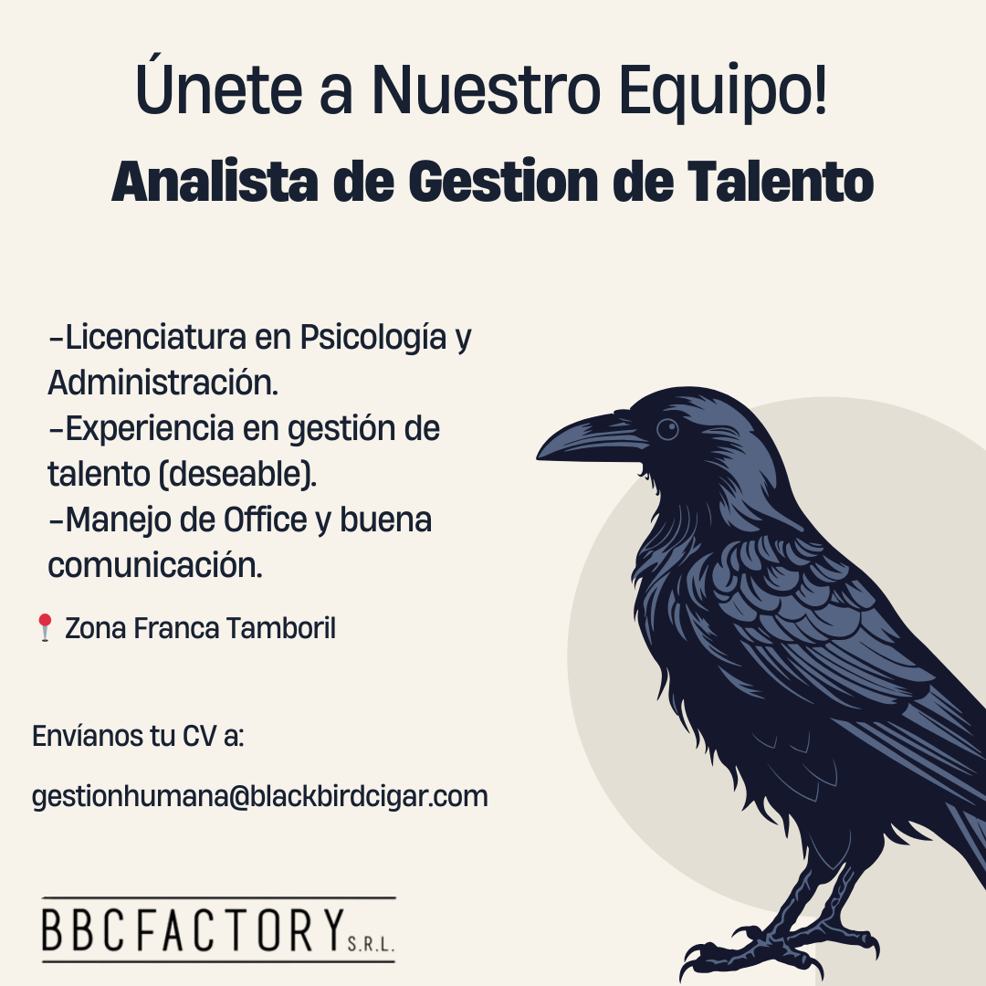 Analista de Gestión de Talento